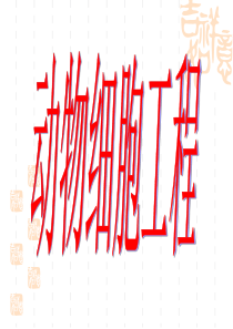 动物细胞工程课件廖