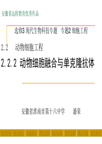 动物细胞融合与单克隆抗体04366