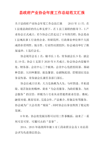 县政府产业协会年度工作总结范文汇报