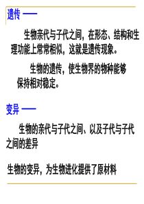 我的现代生物进化理论的由来