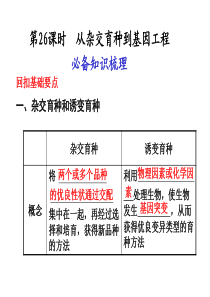 第26课时从杂交育种到基因工程
