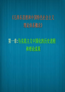 第一章马克思主义中国化的历史进程和理论成果