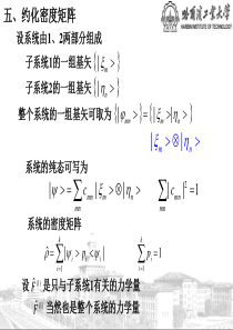 约化密度矩阵