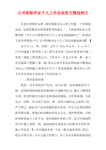 公司职称评定个人工作总结范文精选例文