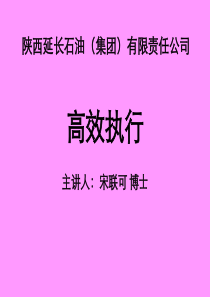 高效执行-宋联可博士-学员讲义(课后版)-140613陕西延长