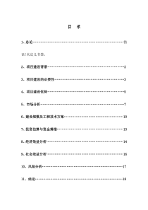 年产20万吨秸秆煤建设项目可行性研究报告