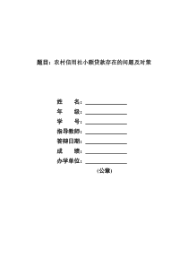 农村信用社的小额贷款存在问题及对策论文