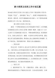 新小班班主任的工作计划五篇