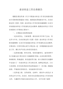 意识形态工作自查报告