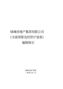 632010年度全面预算及经营计划表编制指引