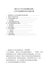 创业孵化基地实施方案