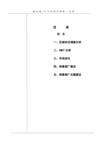 住宅10号推广设想