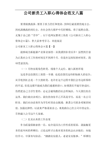 公司新员工入职心得体会范文八篇