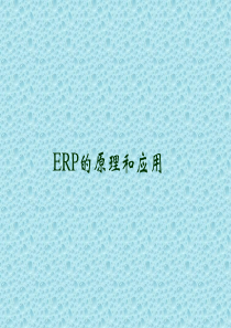 ERP的原理和应用（PPT39页)