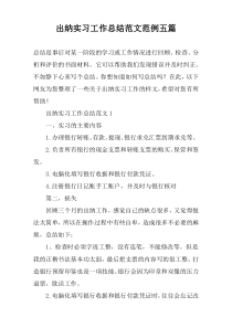 出纳实习工作总结范文范例五篇