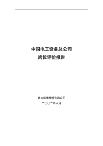 中电岗位评价分析报告