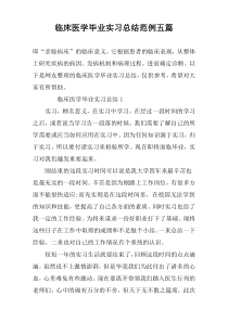 临床医学毕业实习总结范例五篇