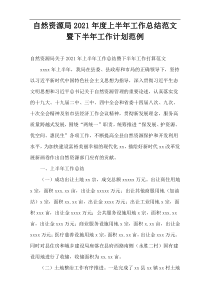 自然资源局2021年度上半年工作总结范文暨下半年工作计划范例