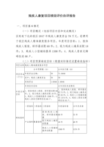 残疾人康复项目绩效评价自评报告