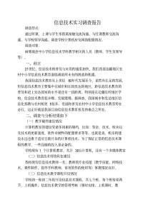 信息技术实习调查报告