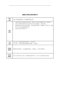 战略分析岗位职责说明书