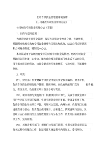 公司专项资金管理使用制度篇一