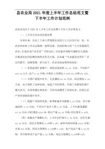 县农业局2021年度上半年工作总结范文暨下半年工作计划范例