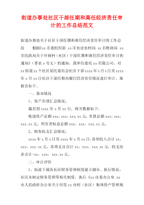 街道办事处社区干部任期和离任经济责任审计的工作总结范文