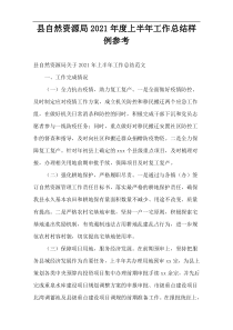 县自然资源局2021年度上半年工作总结样例参考