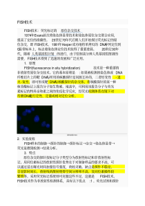 FISH荧光原位杂交技术介绍