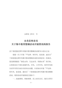 关于集中教育整顿活动开展情况的报告