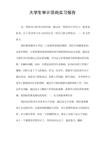 大学生审计顶岗实习报告