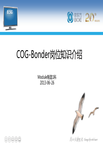 COG-Bonder岗位知识介绍