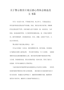 关于警示教育片观后感心得体会精选范文5篇