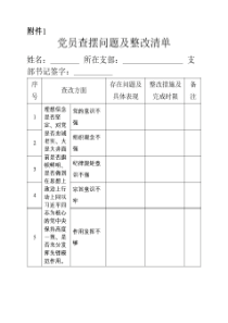 查摆问题及整改清单