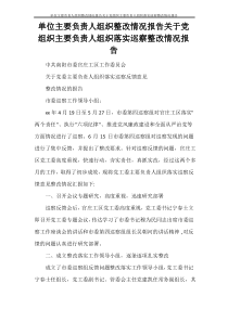 工作报告 单位主要负责人组织整改情况报告关于党组织主要负责人组织落实巡察整改情况报告