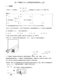 初一下册数学二元一次方程组试卷及答案全word版