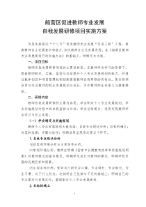 船营区教师个人专业发展规划研修实施方案