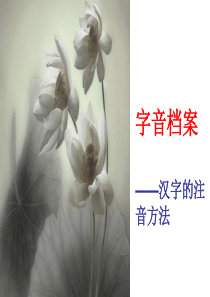 字音档案1