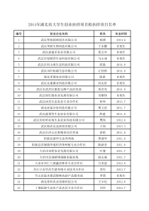 X年湖北省大学生创业扶持项目拟扶持项目名单