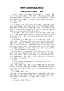 教师职业生涯发展长期规划