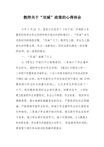 教师关于“双减”政策的心得体会