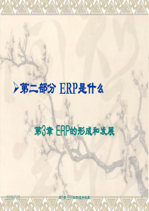 第3章 ERP的形成和发展