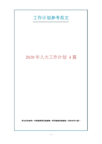 2020年人大工作计划4篇