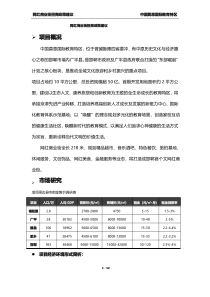 网红商业街招商政策建议(邹恒宇)