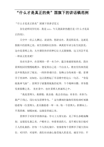 “什么才是真正的美”国旗下的讲话稿范例