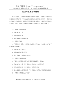 XX公司职务分析计划