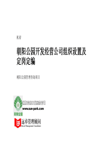 XX开发经营公司组织设置及定岗定编（PPT 99页）