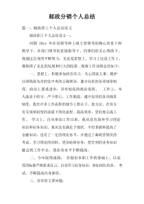 邮政分销个人总结doc