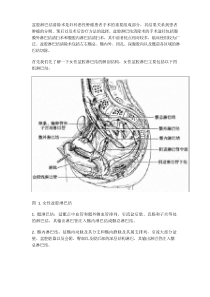 北医李睿医考：盆腔淋巴结清扫术教程